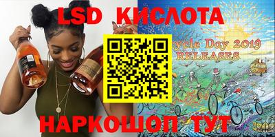 гашик Камышлов