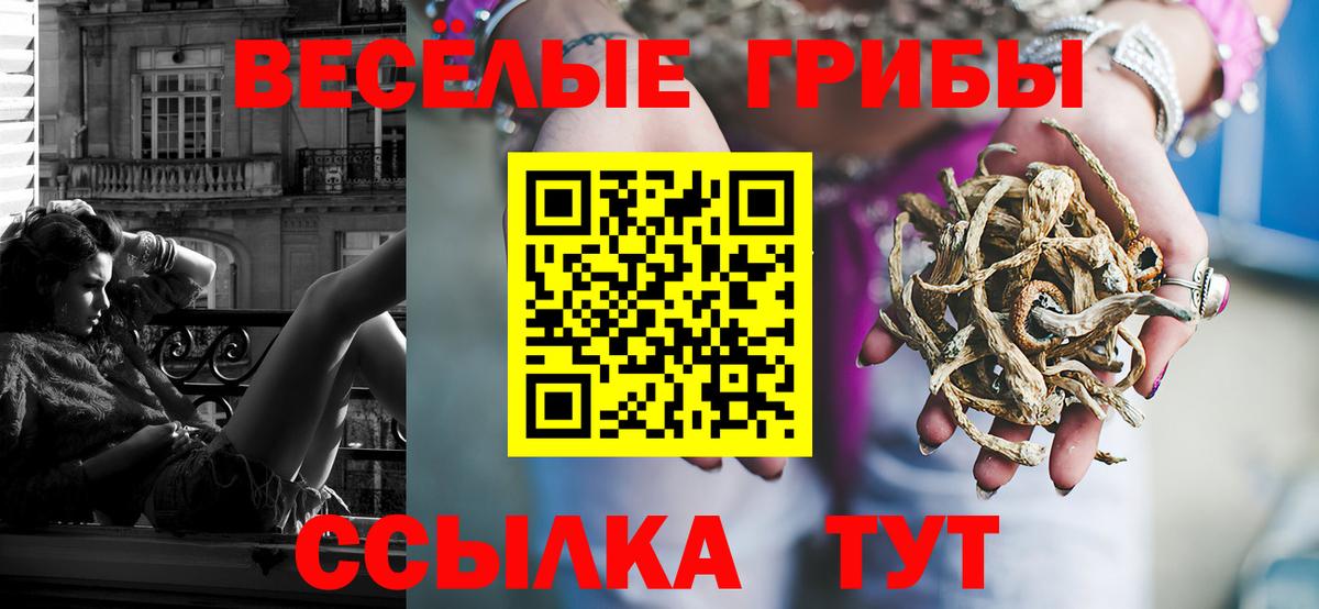 Псилоцибиновые грибы Psilocybine cubensis  Псилоцибиновые грибы GOLDEN TEACHER  Жуковский  купить наркоту  Вход с VPN 