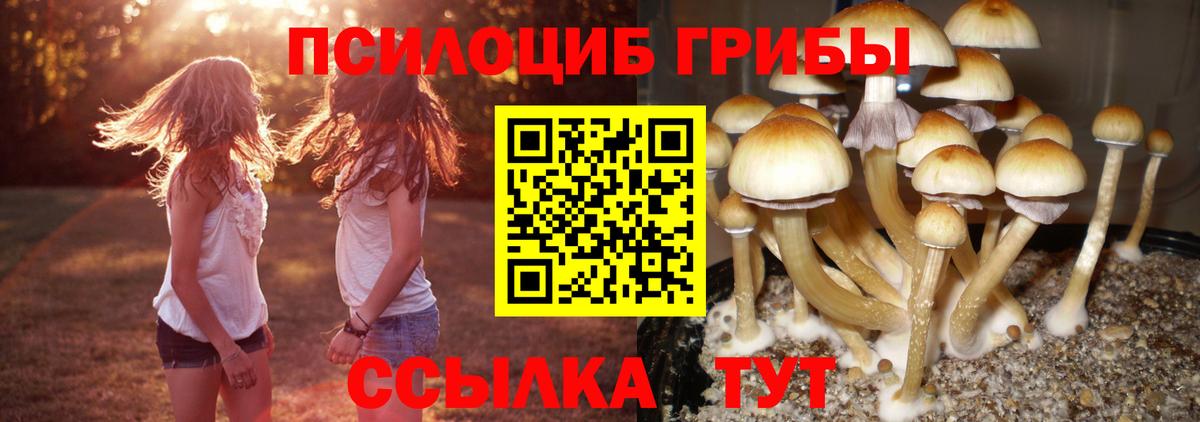 Галлюциногенные грибы прущие грибы Жуковский